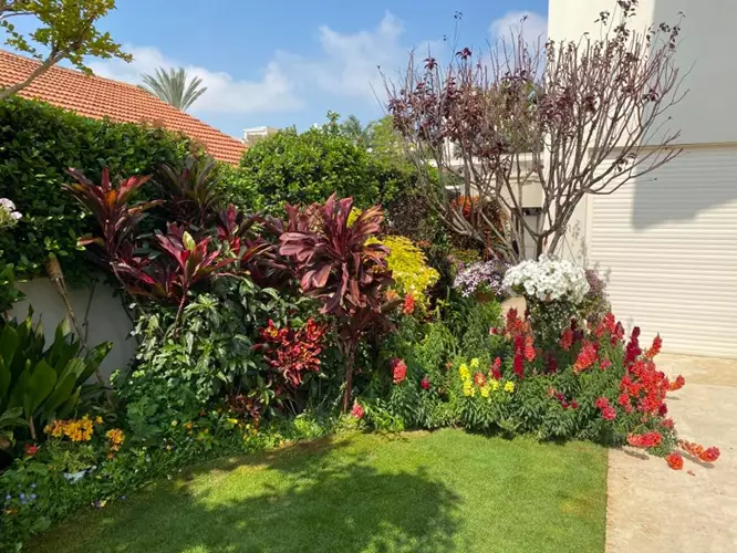 תחזוקת גינה 7